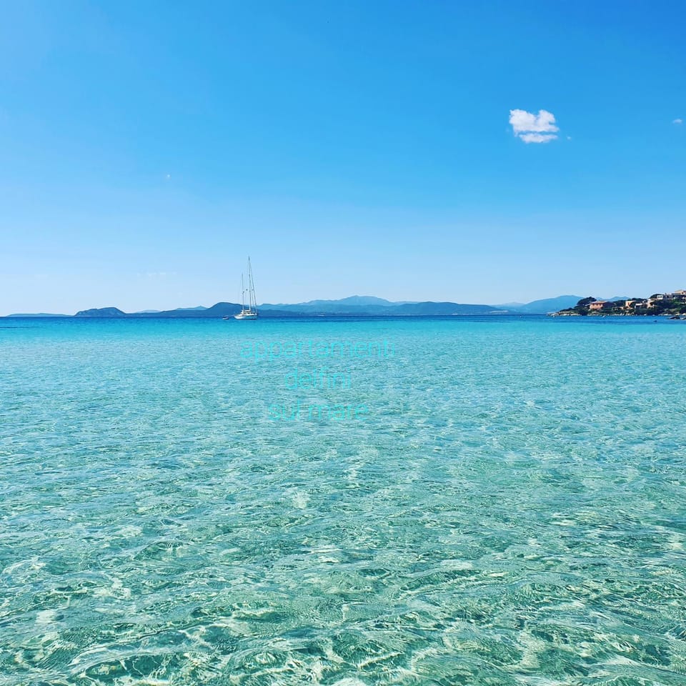 Natural landscape, Sea view