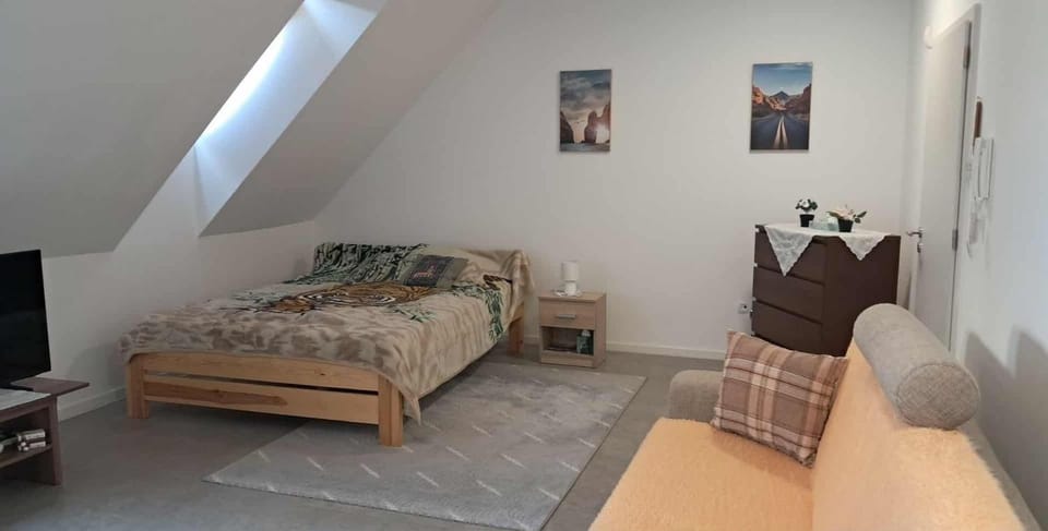 Bed, TV and multimedia, Photo of the whole room, furniture