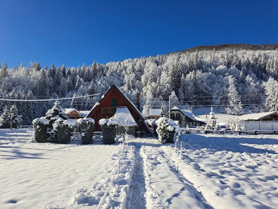 Day, Natural landscape, Winter
