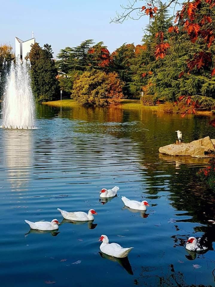 Appartamento Centrale vicino a Humanitas e Forum Assago Apartment in Lombardy