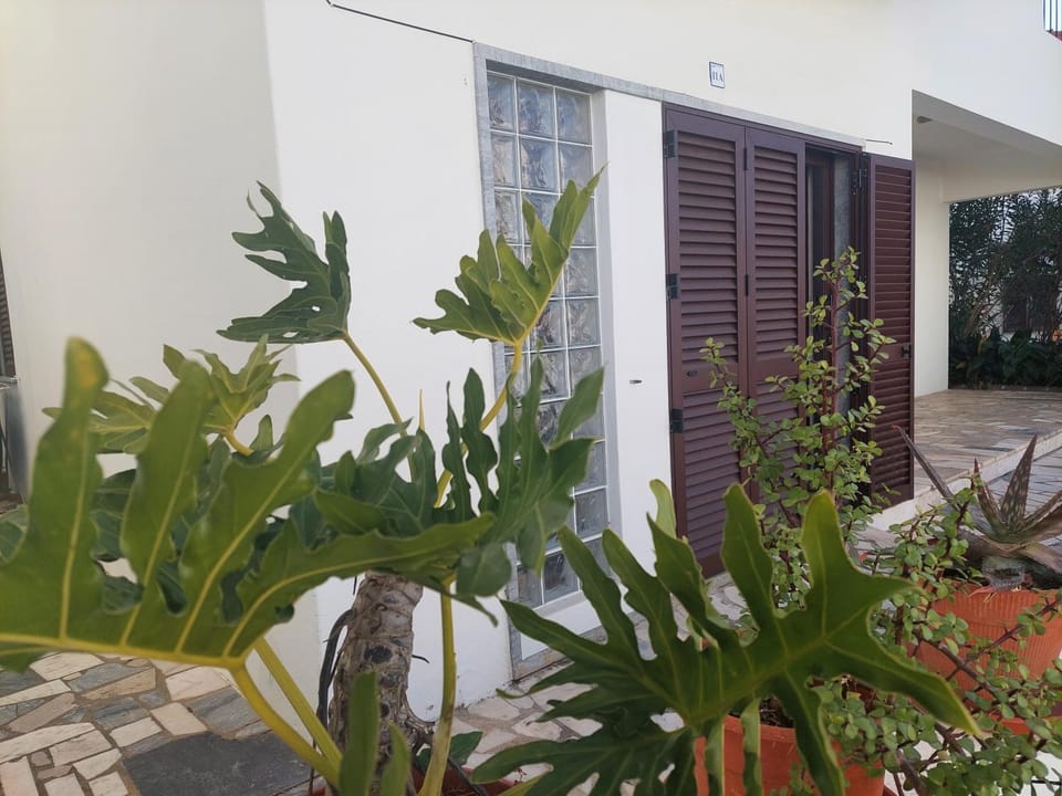 Facade/entrance, Garden view