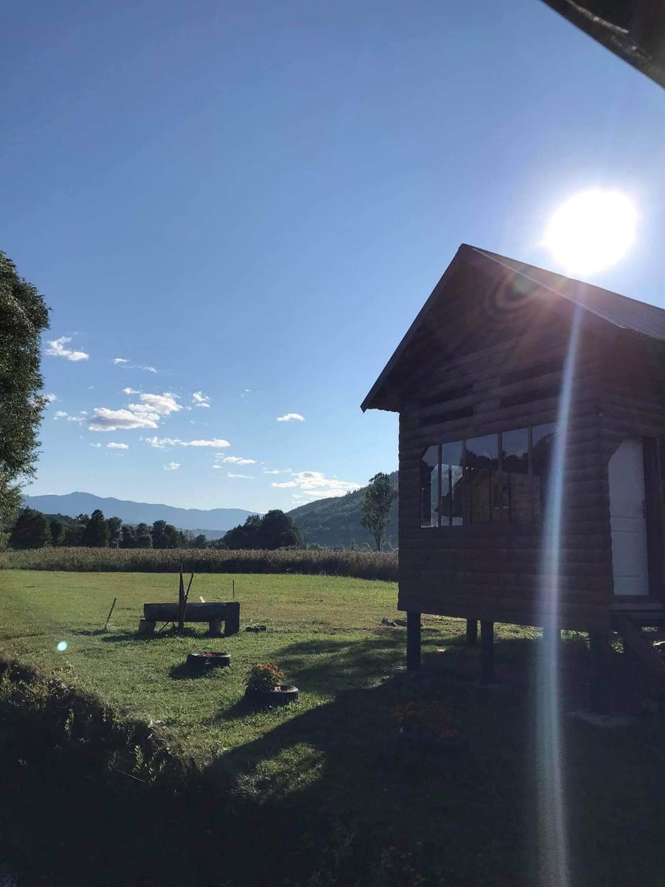 Garden view