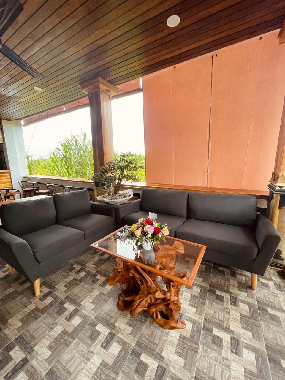 Patio, Communal lounge/ TV room, Day, View (from property/room), Seating area