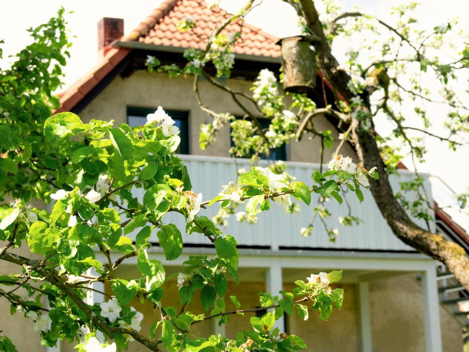 Property building, Balcony/Terrace
