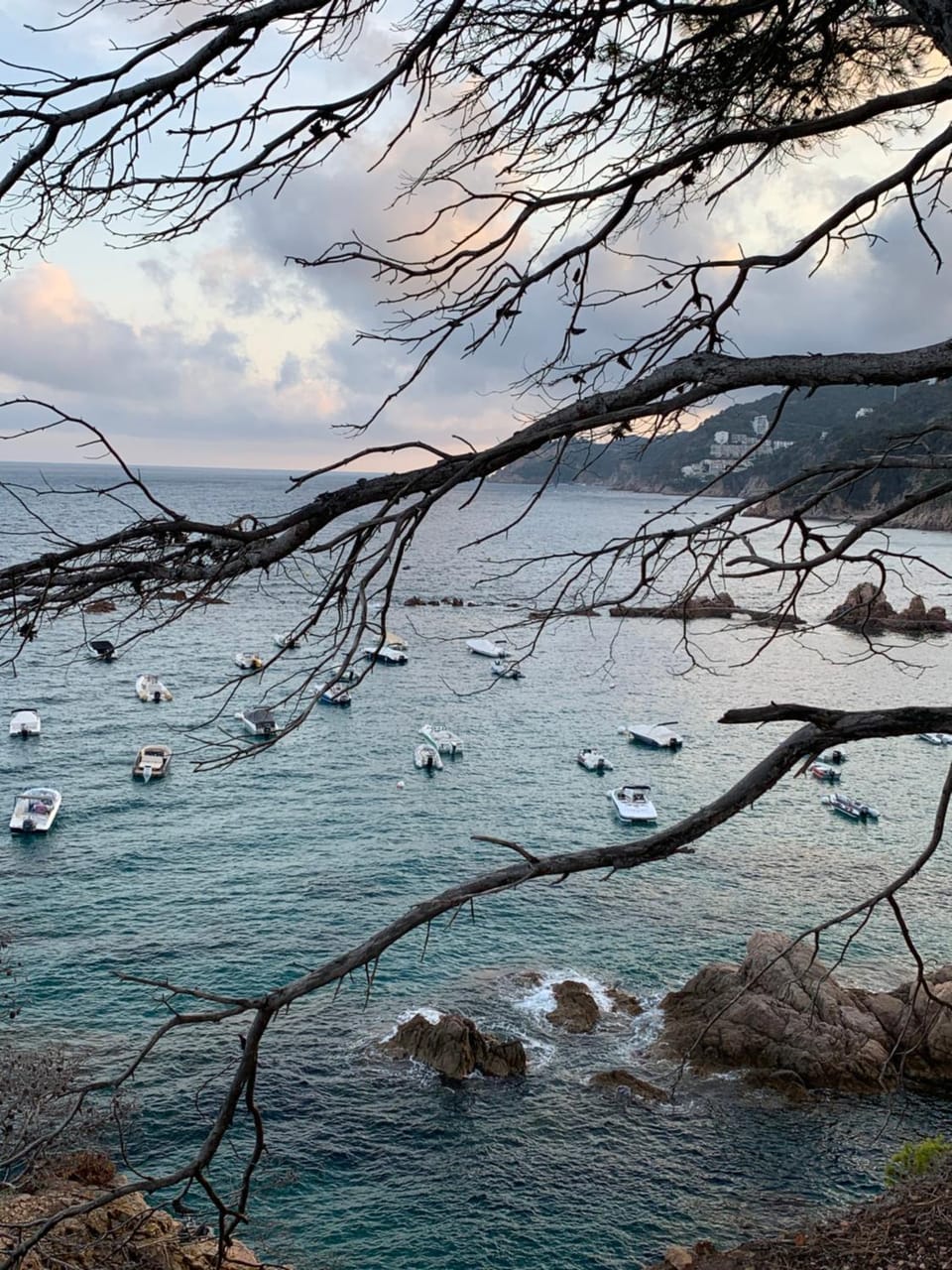 Natural landscape, Sea view