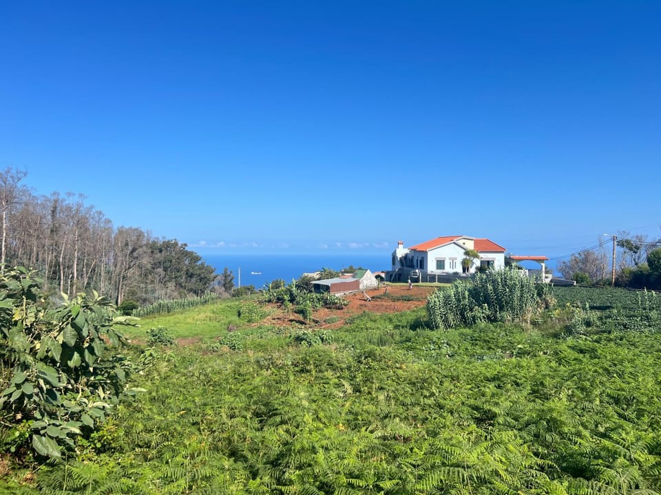 Property building, Natural landscape