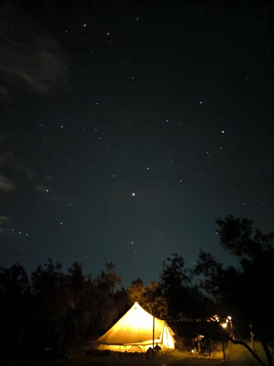 Night