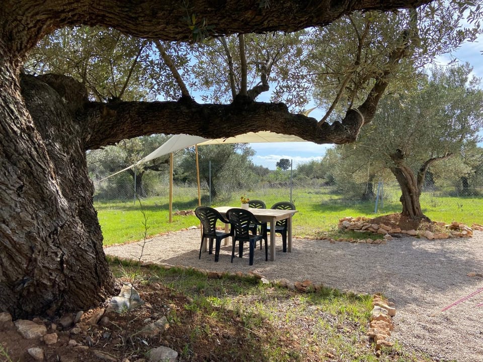 Garden, Dining area, Garden view