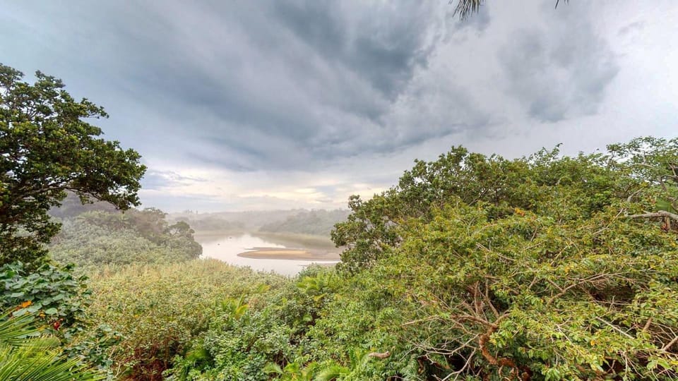 Natural landscape