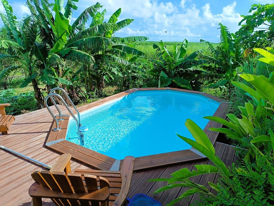 Pool view, Swimming pool