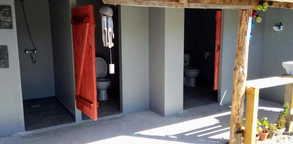 Shower, Toilet, Property building