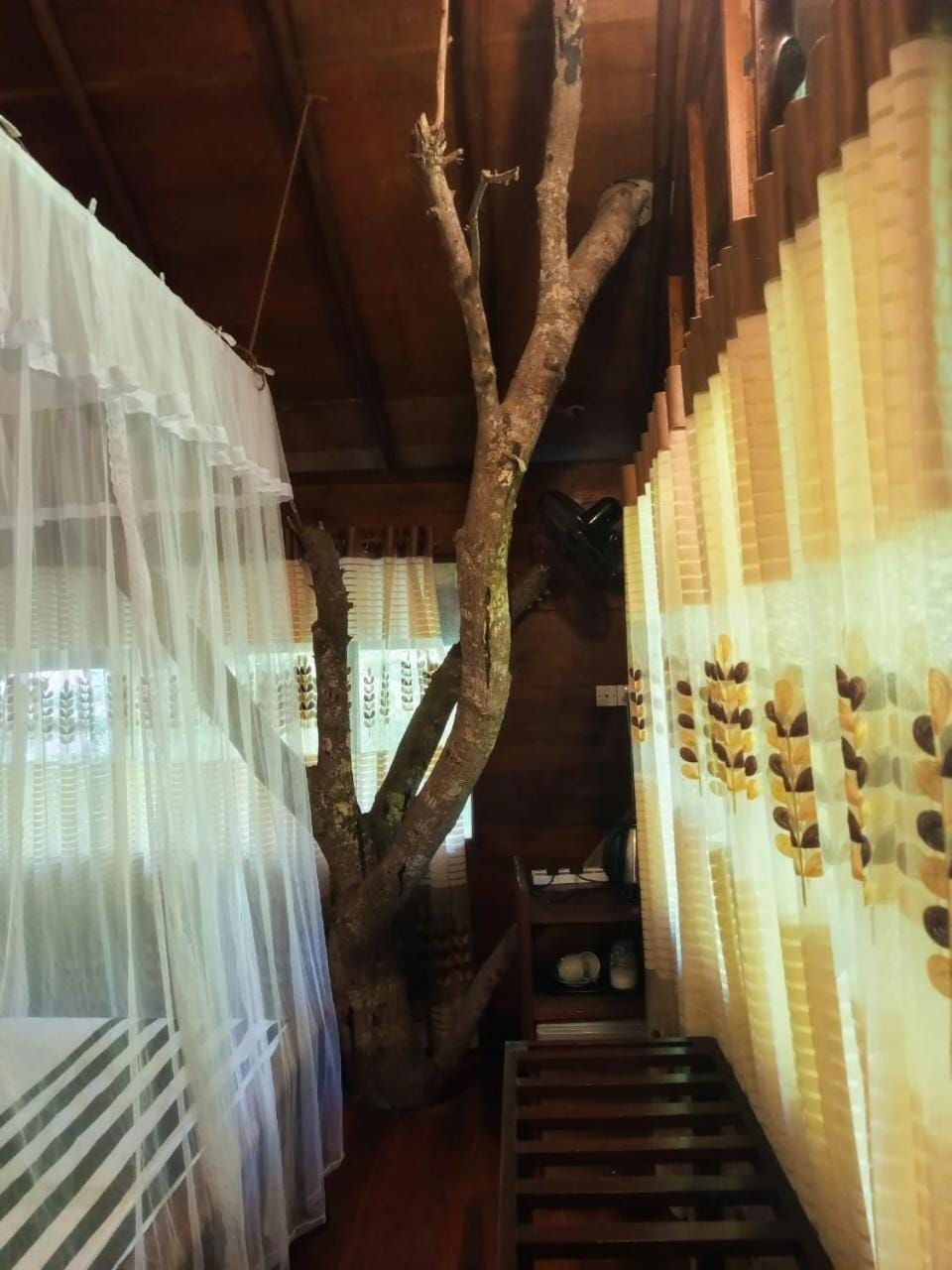 Eco Village Resort in Ella