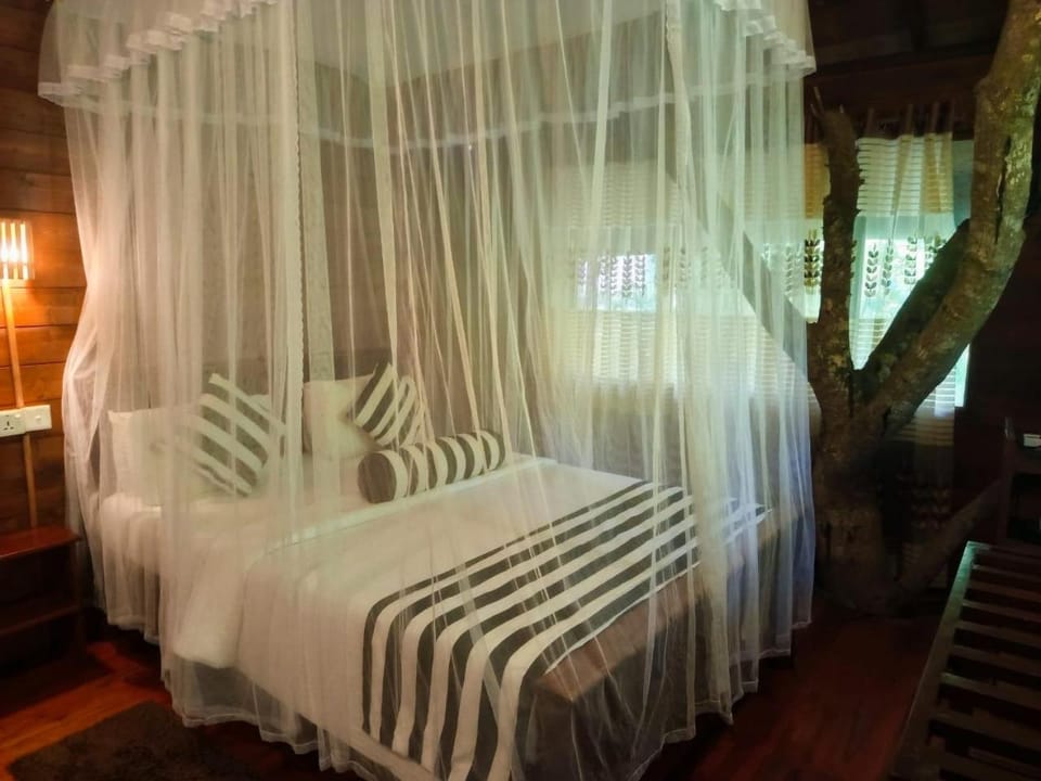 Eco Village Resort in Ella