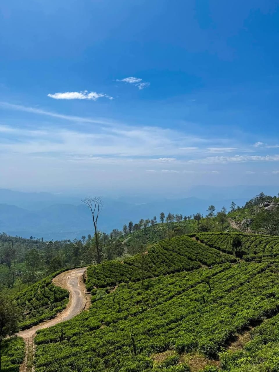 Leisure Mount Villa Vacation rental in Central Province