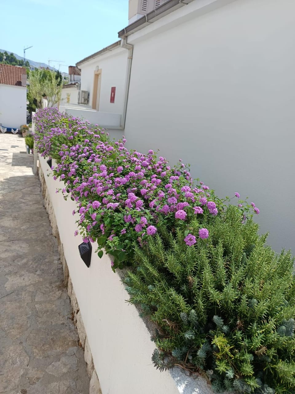 Sunny beach apartment Lavica Apartment in Podstrana