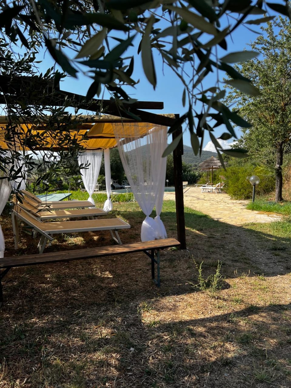 Spring, Day, Natural landscape, Garden, Dining area, Garden view, Swimming pool