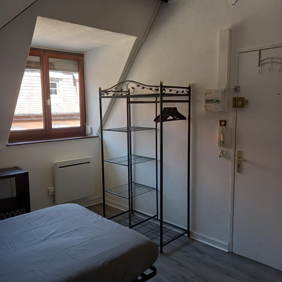 Colmar: studio dans le centre historique Apartment in Colmar