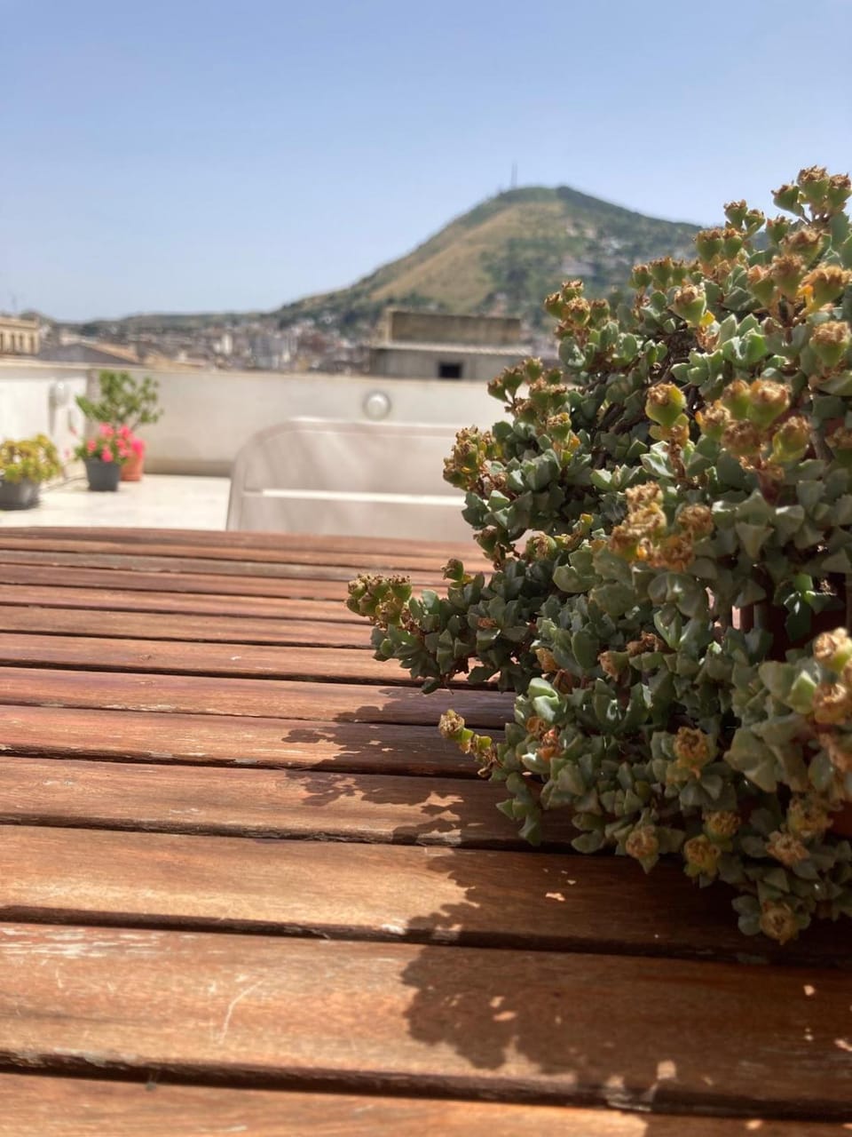 Attico in centro città Apartment in Alcamo