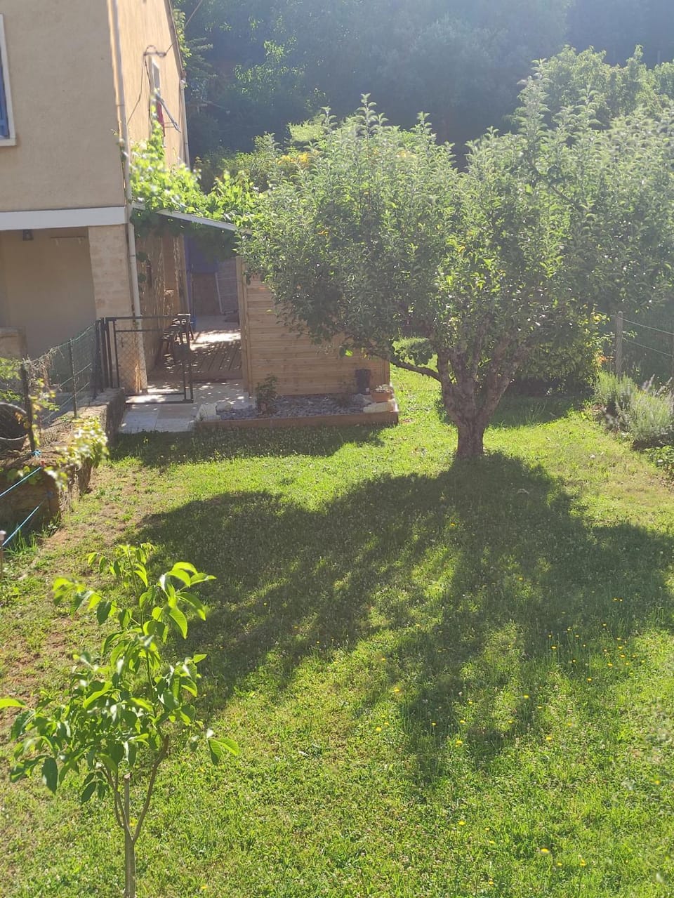 Garden view