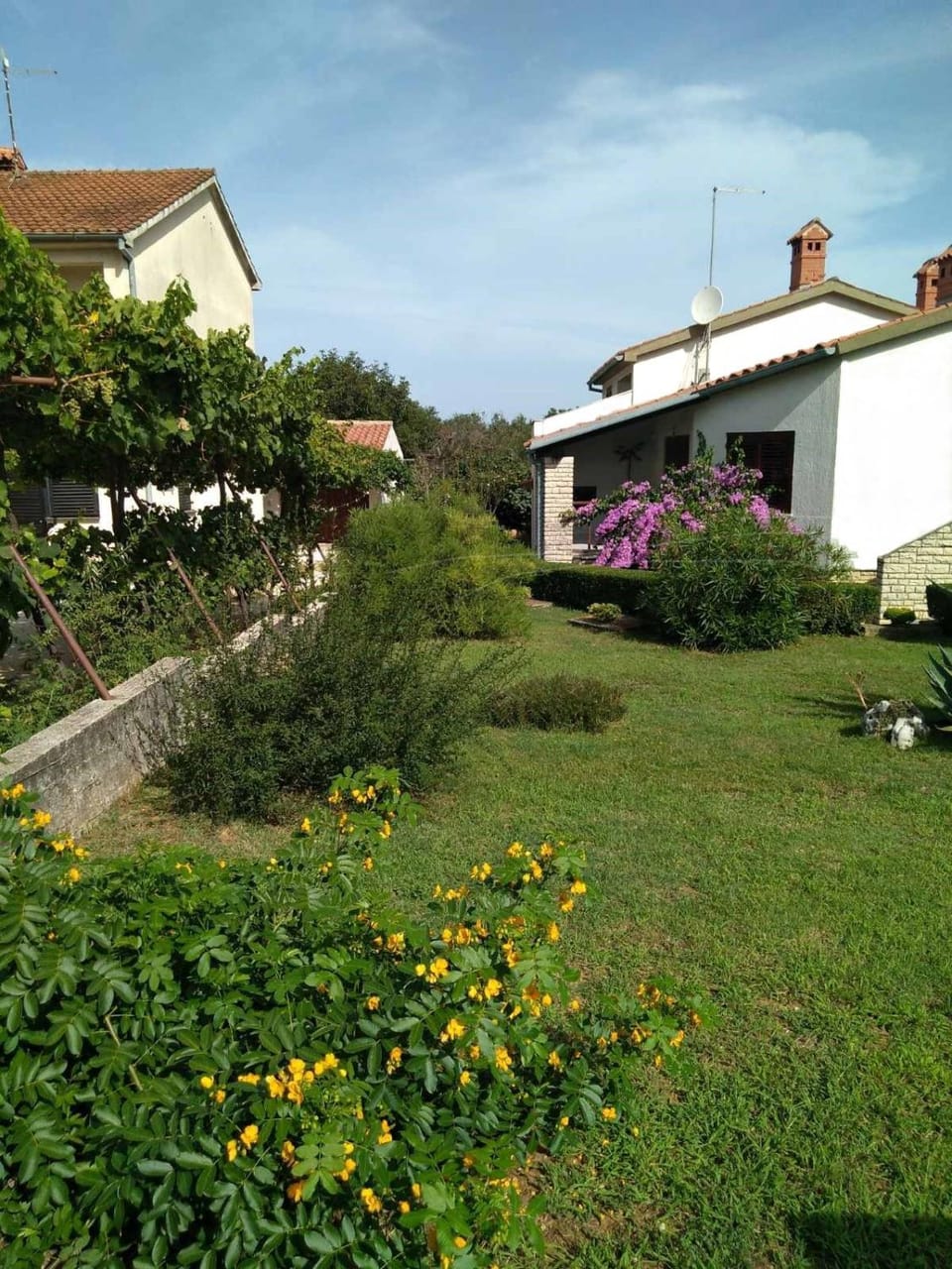 Property building, Garden