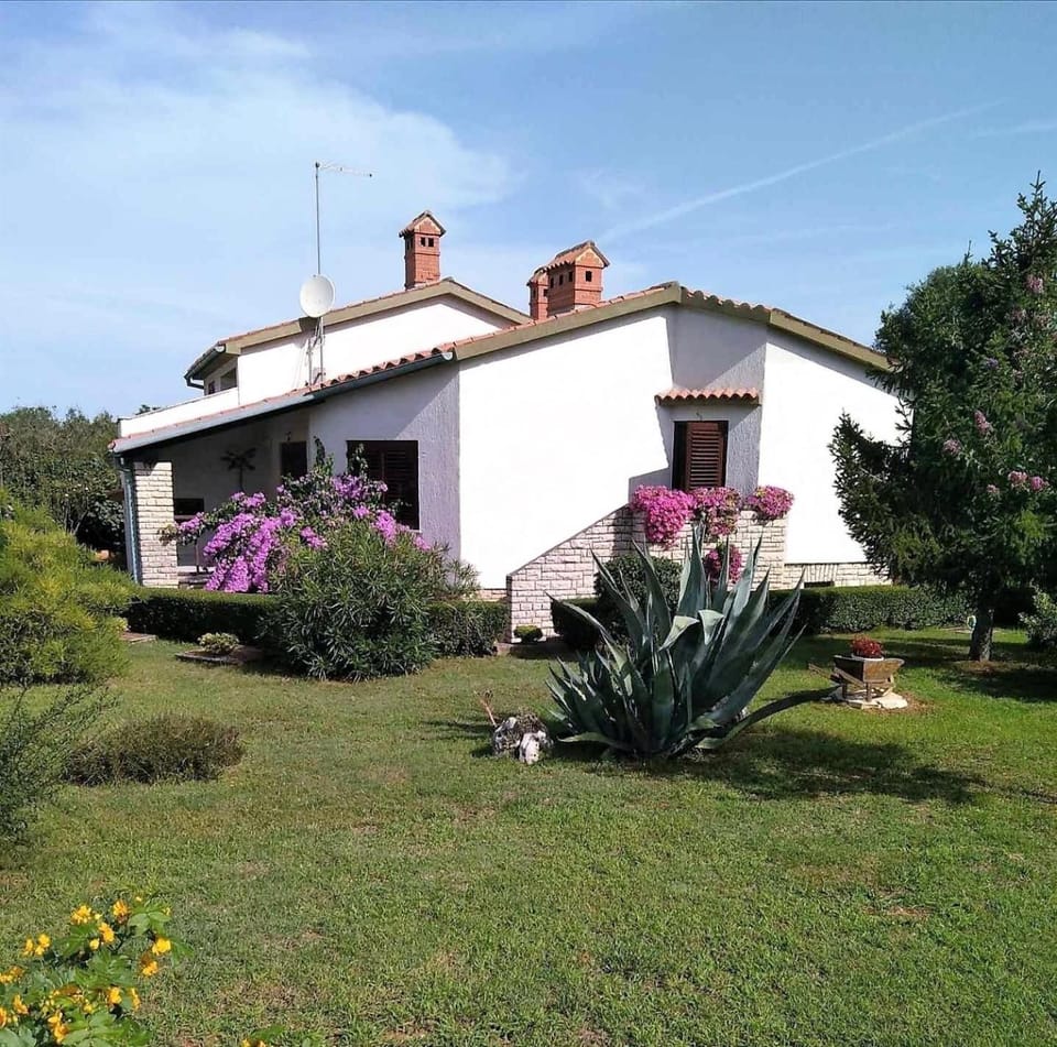 Property building, Garden, Garden view