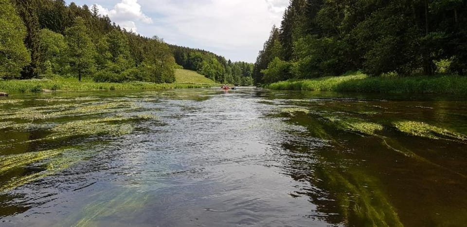 Natural landscape, Canoeing, River view