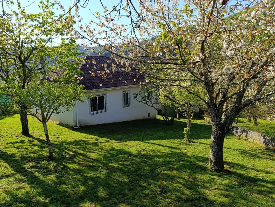 Casa Loureira - Ribeira Sacra House in Galicia
