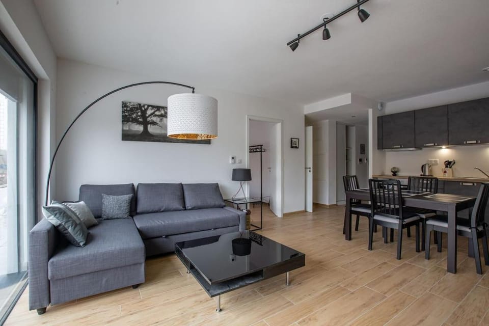 Magnifique 2 pièces, tout équipé, terrasse privée Apartment in Colmar