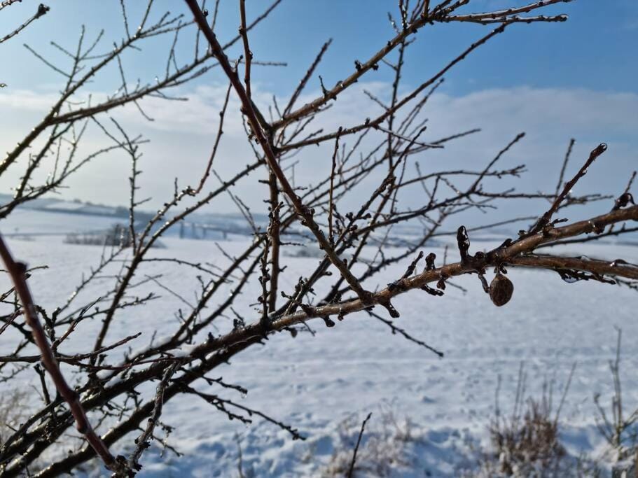 Natural landscape, Winter