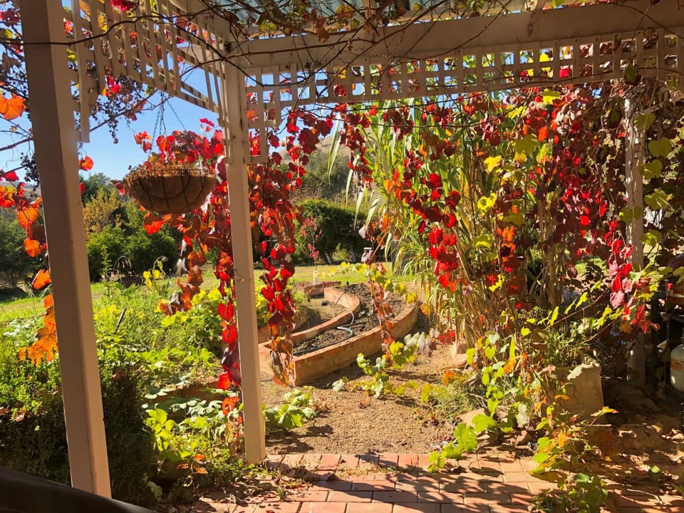 Garden, Garden