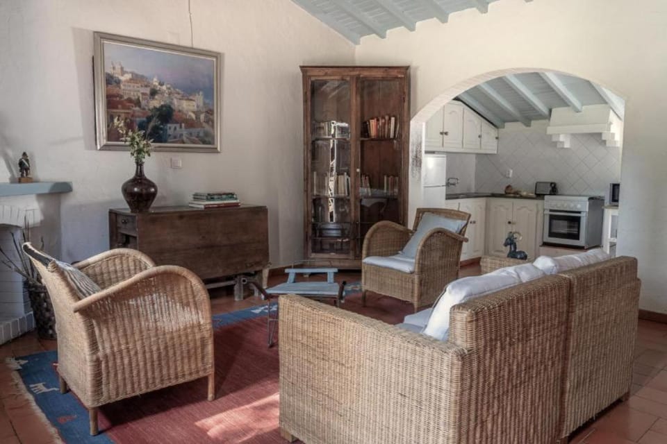 Living room, kitchen