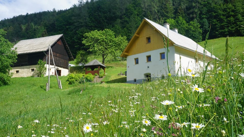 Property building, Natural landscape