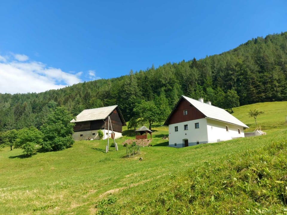Property building, Natural landscape