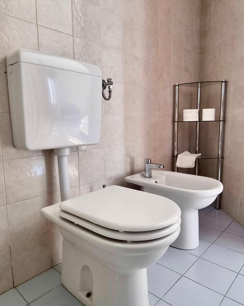 Toilet, Bathroom, bidet