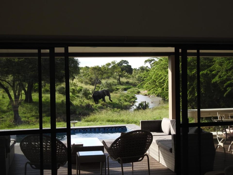 Living room, Swimming pool
