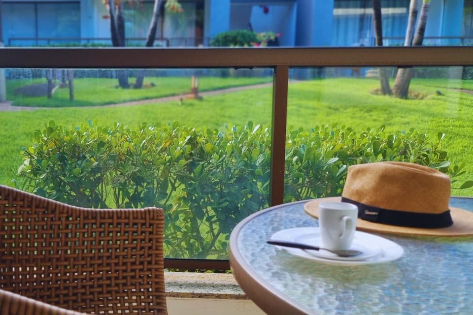 Patio, Garden, Garden view