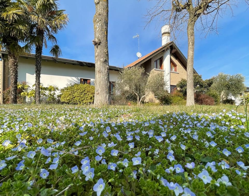 Property building, Spring, Garden, Garden view