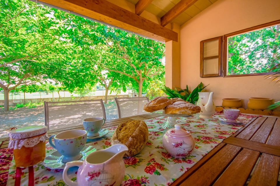 Can Malanyo Villa in Raiguer