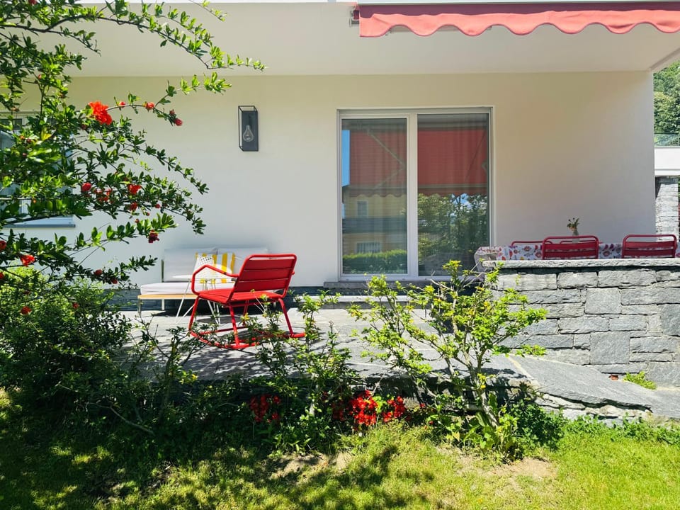 Patio, Garden