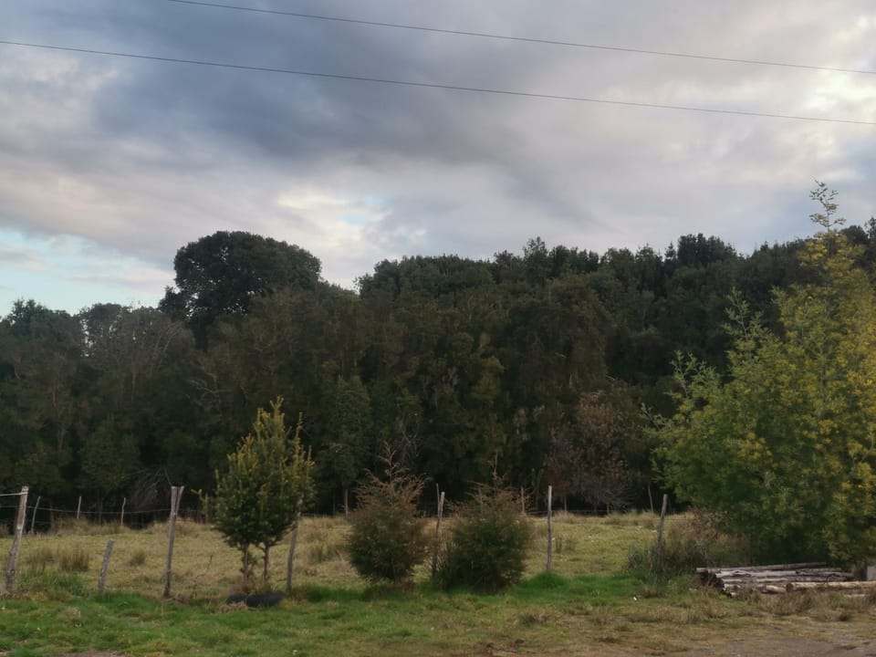 Natural landscape, Garden view