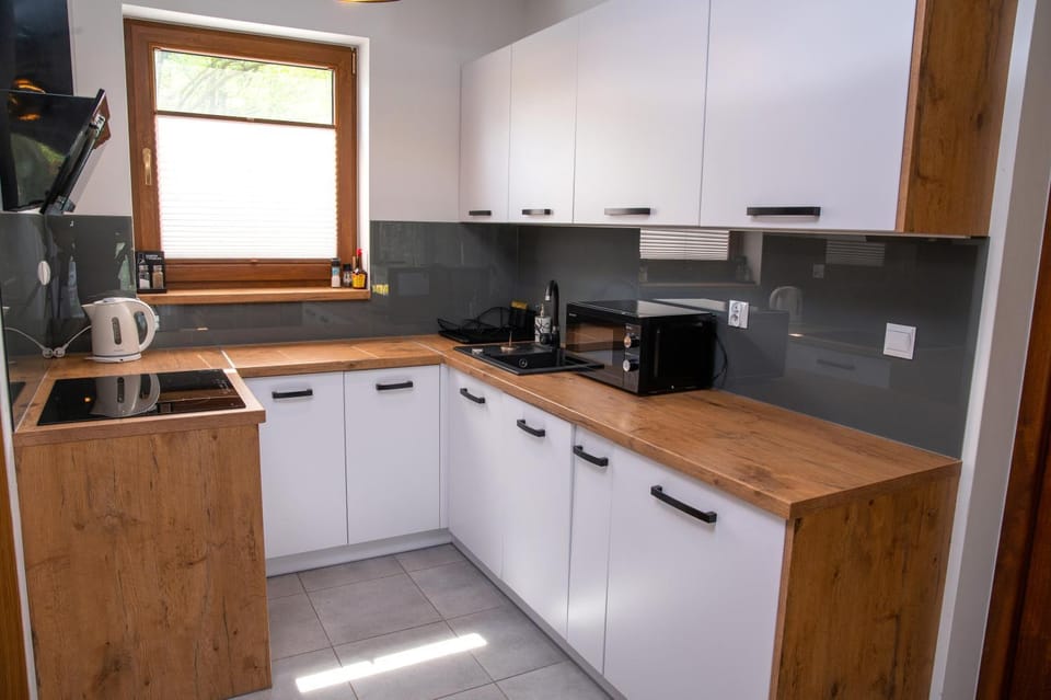 Kitchen or kitchenette, dishwasher, minibar, pet friendly, stove