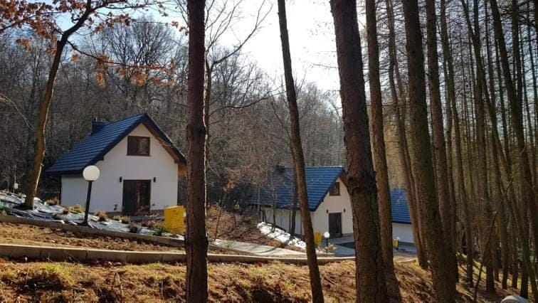 Property building, Natural landscape