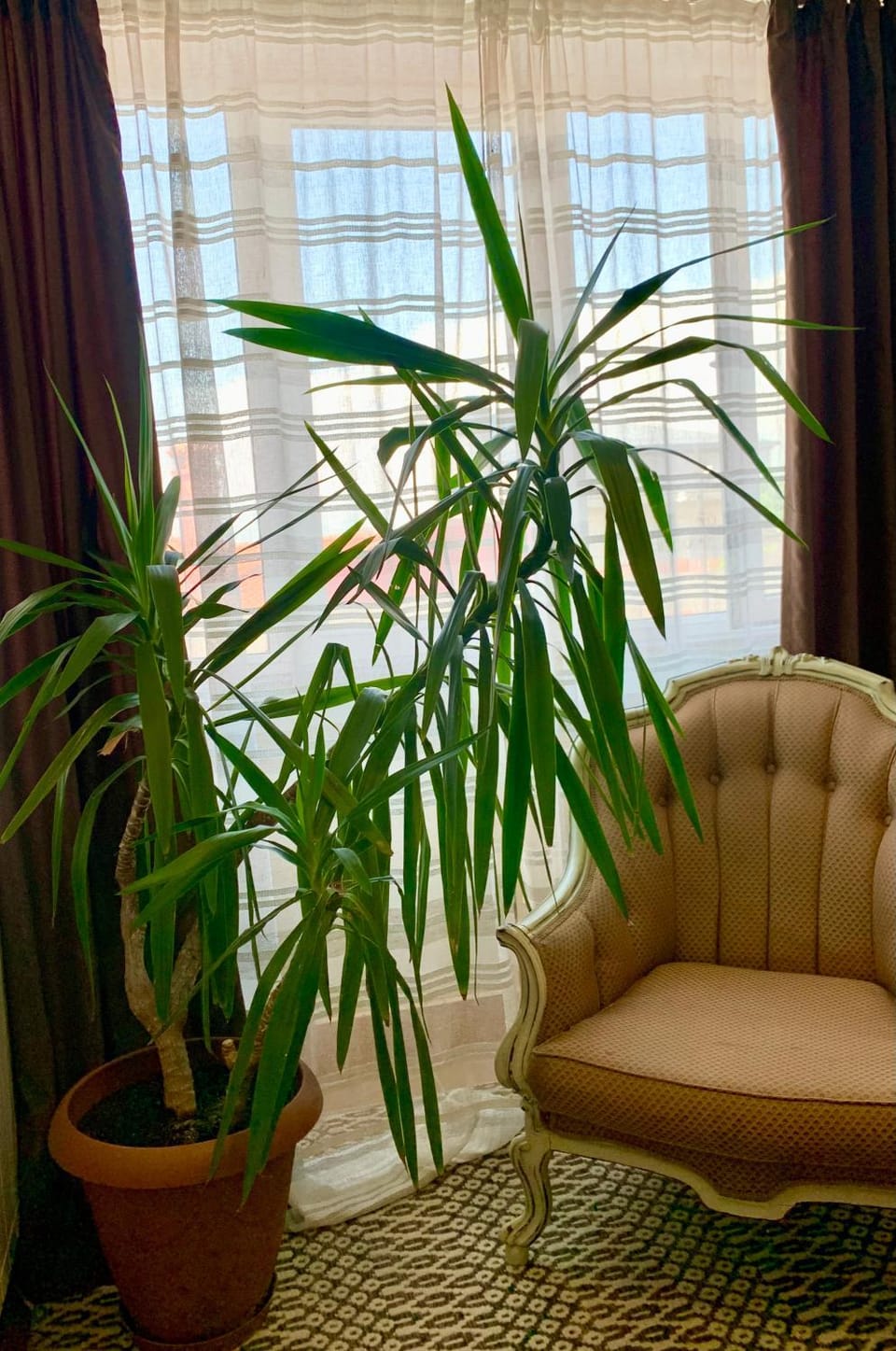 WHITE HOUSE Plovdiv Bed and Breakfast in Plovdiv