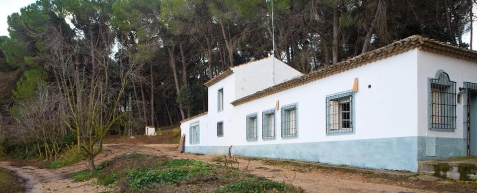 LosGuachos_ casa rural Villa in La Mancha
