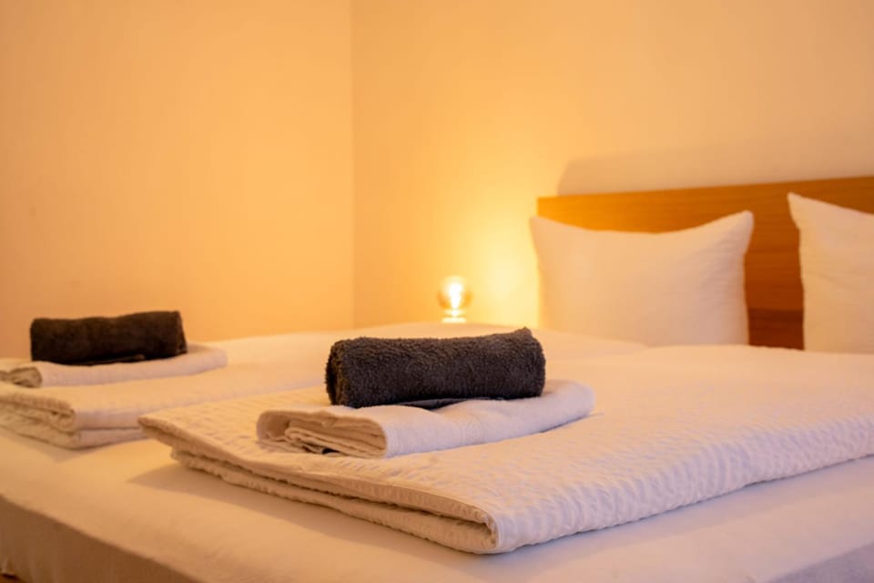 Allgäu SPA House Apartment in Immenstadt