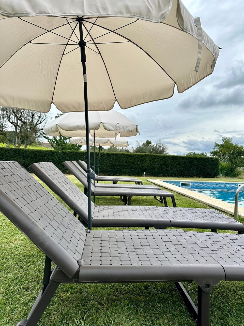 Garden, Garden view, Pool view, Swimming pool, sunbed