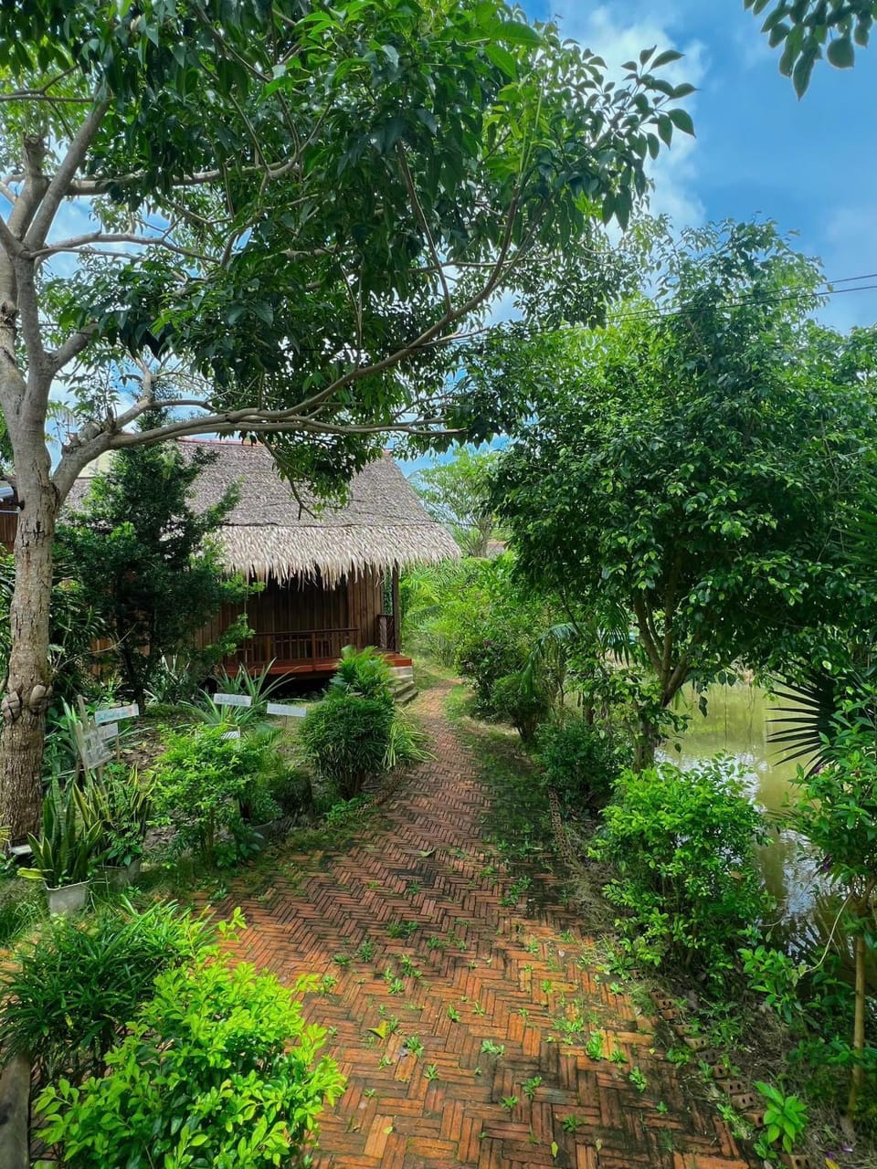 Garden, Garden view
