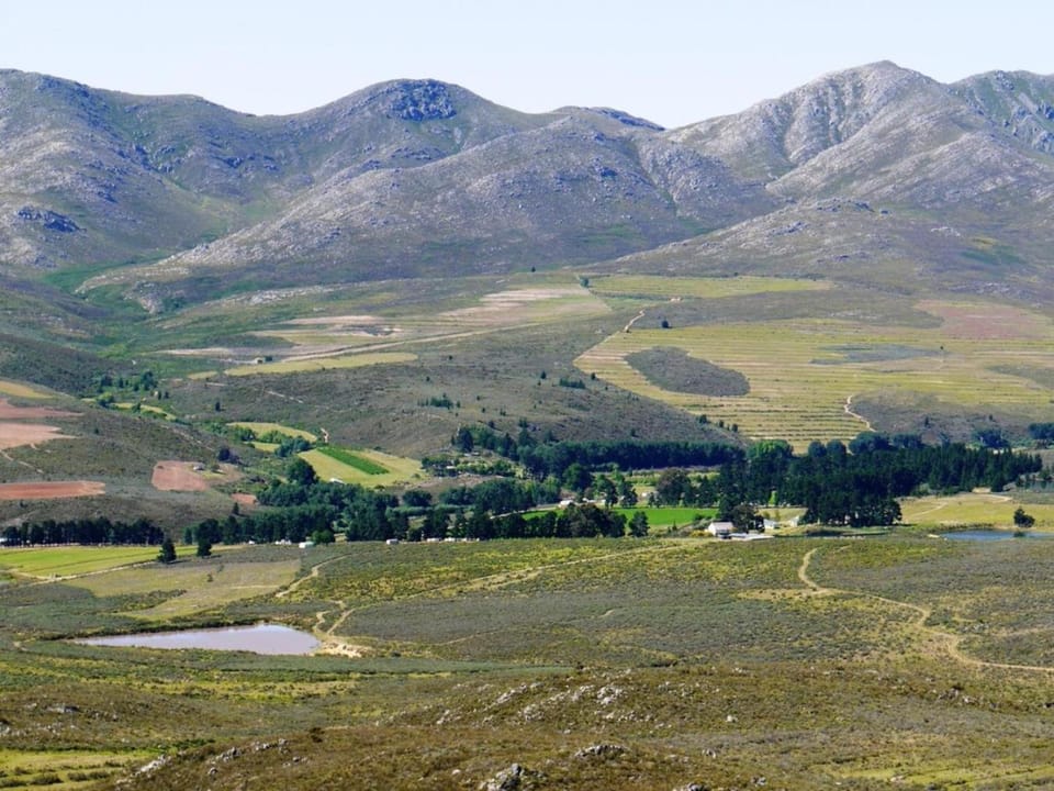 Natural landscape