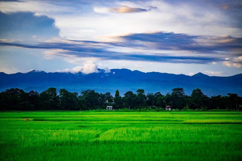 Natural landscape