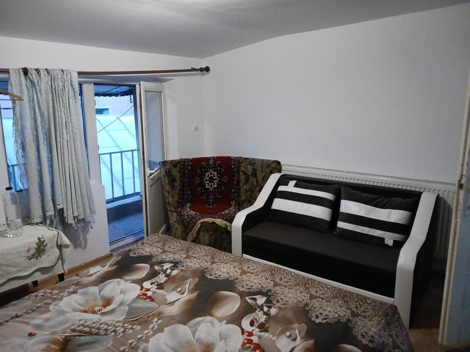 Sara 3 dormitoare nu primesc santieristi si petrecareti House in Bucharest
